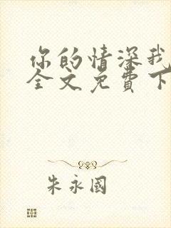 你的情深我不配全文免费下载