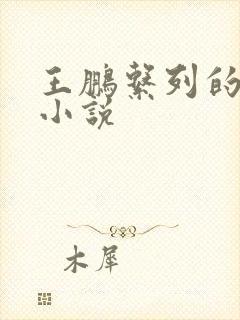 王鹏系列的催眠小说