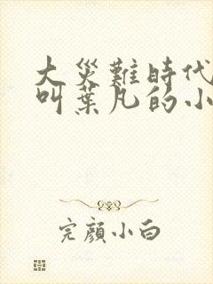 大灾难时代主角叫叶凡的小说