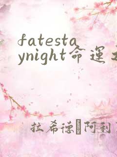 fatestaynight命运之夜