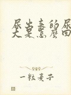 尿出来的尿骚味大是怎么回事