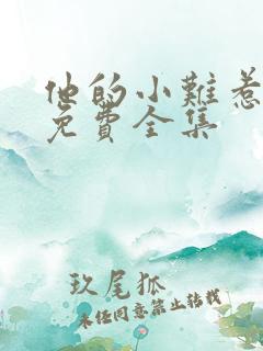 他的小难惹短剧免费全集