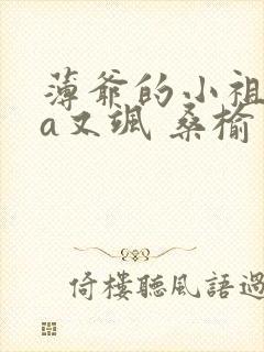 薄爷的小祖宗又a又飒 桑榆未晚