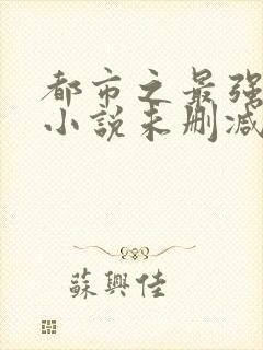 都市之最强狂兵小说未删减完整版