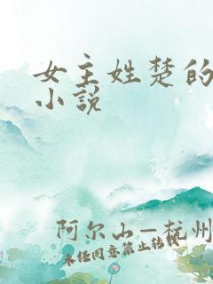 女主姓楚的重生小说