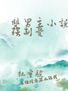 双男主小说推荐强制爱