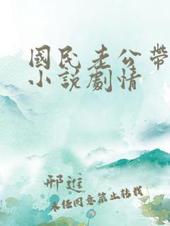 国民老公带回家小说剧情