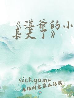 《湛爷的小妖精长大了》