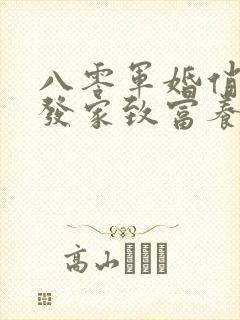 八零军婚俏军嫂发家致富养崽崽