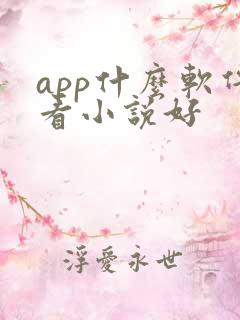 app什么软件看小说好