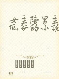 女主陪男主走过低谷的小说
