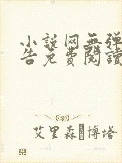 小说网无弹窗广告免费阅读