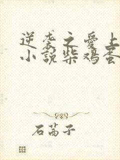 逆袭之爱上情敌小说柴鸡蛋免费阅读