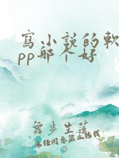 写小说的软件app哪个好