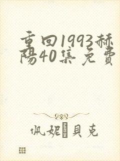 重回1993赫阳40集免费观看