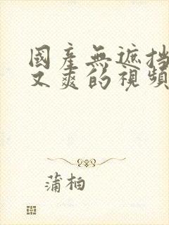 国产无遮挡又黄又爽的视频