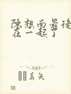 陈想南最后和谁在一起了