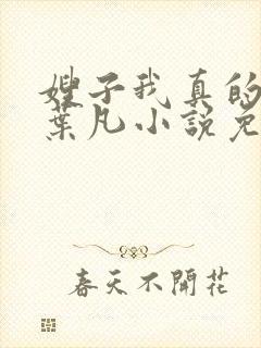 嫂子我真的不傻叶凡小说免费