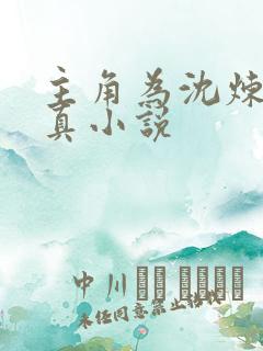 主角为沈炼的修真小说