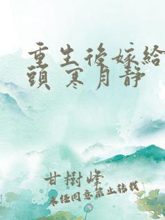 重生后嫁给死对头 寒月静