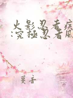 火影忍者疾风传:究极忍者风暴2