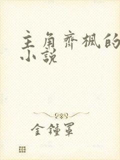 主角齐枫的都市小说