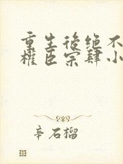 重生后绝不嫁给权臣宗肆小说阅读