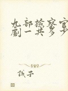 九部检察官电视剧一共多少集