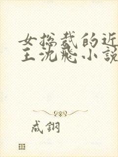 女总裁的近身兵王沈飞小说