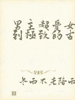 男主超爱女主爱到极致的古言