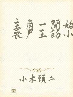 主角一开始就是丧尸王的小说