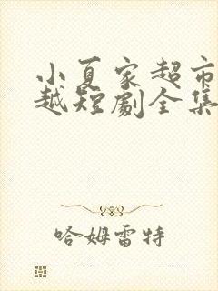 小夏家超市能穿越短剧全集免费观看