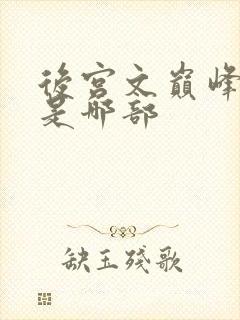 后宫文巅峰之作是哪部