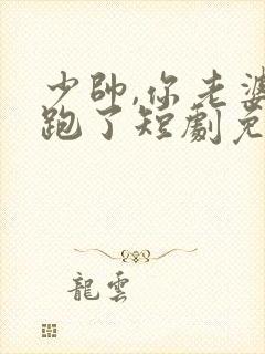 少帅,你老婆又跑了短剧免费看