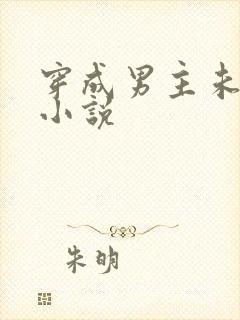 穿成男主未婚妻小说