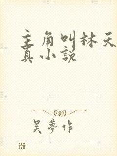 主角叫林天的修真小说