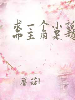 求一个小说,里面主角是赵云