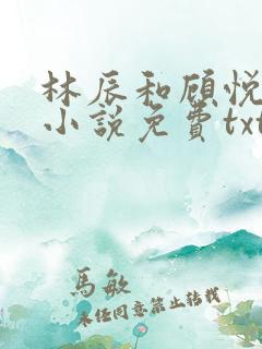 林辰和顾悦兮的小说免费txt