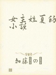 女主姓夏的重生小说