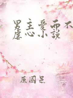 男主爱而不得的虐心小说