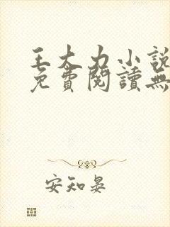 王大力小说小说免费阅读无弹窗