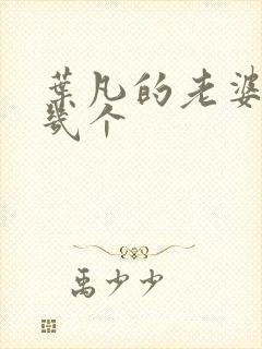 叶凡的老婆有哪几个