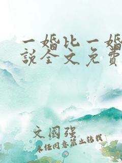 一婚比一婚高小说全文免费阅读