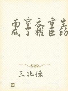 南宝衣重生后我成了权臣的掌中娇