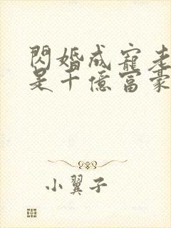 闪婚成宠老公竟是千亿富豪