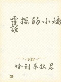 霍总的小娇妻小说