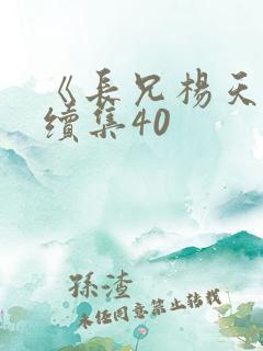《长兄杨天东》续集40