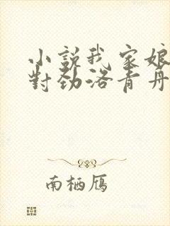 小说我家娘子不对劲洛青舟完结版