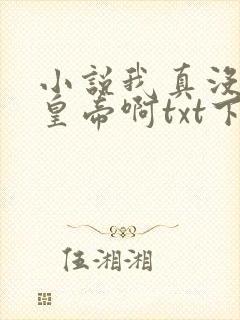 小说我真没想当皇帝啊txt下载