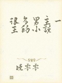 很多男主一个女主的小说